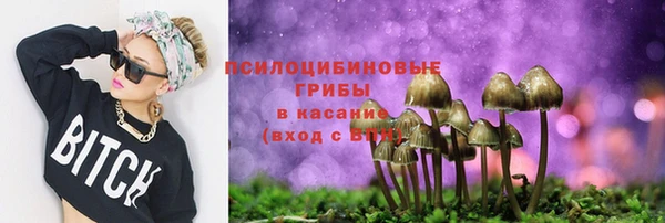 МДПВ Бикин