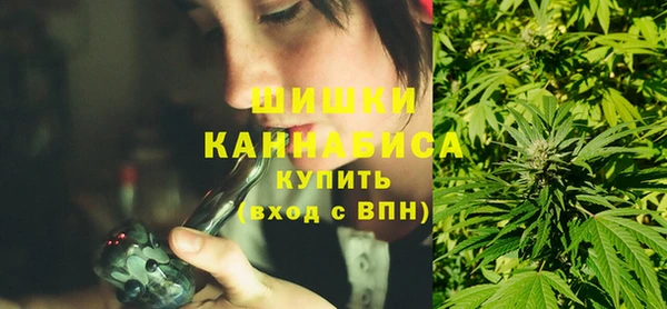 МДПВ Бикин