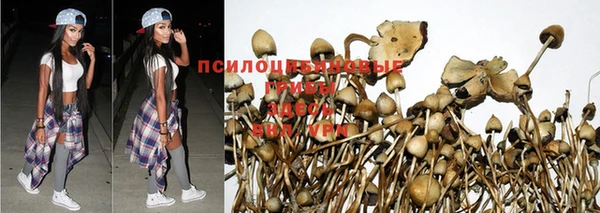 спиды Беслан