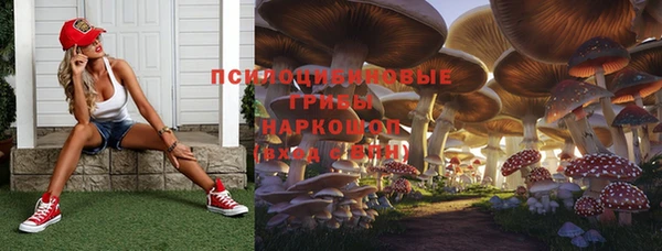 трава Билибино