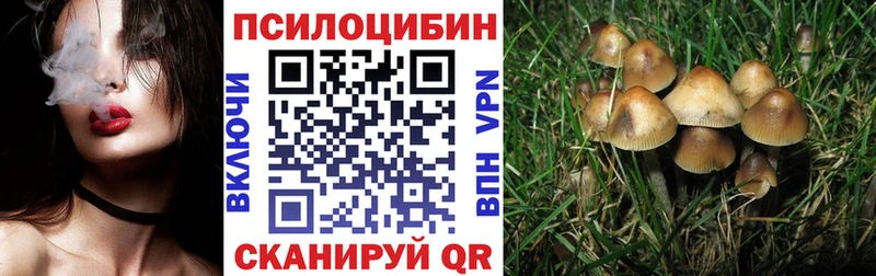 кракен ONION  Канаш  Псилоцибиновые грибы Psilocybe 