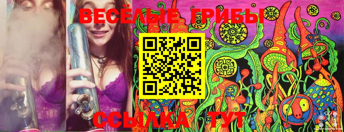 Псилоцибиновые грибы прущие грибы Канаш